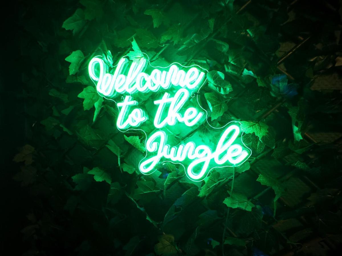 Jungle Urbain- Sauna - Cine - Hamac - Hyper Centre Appartement *